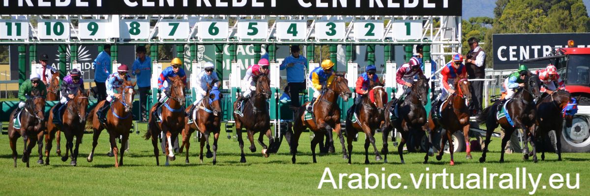 arabic.virtualrally.eu